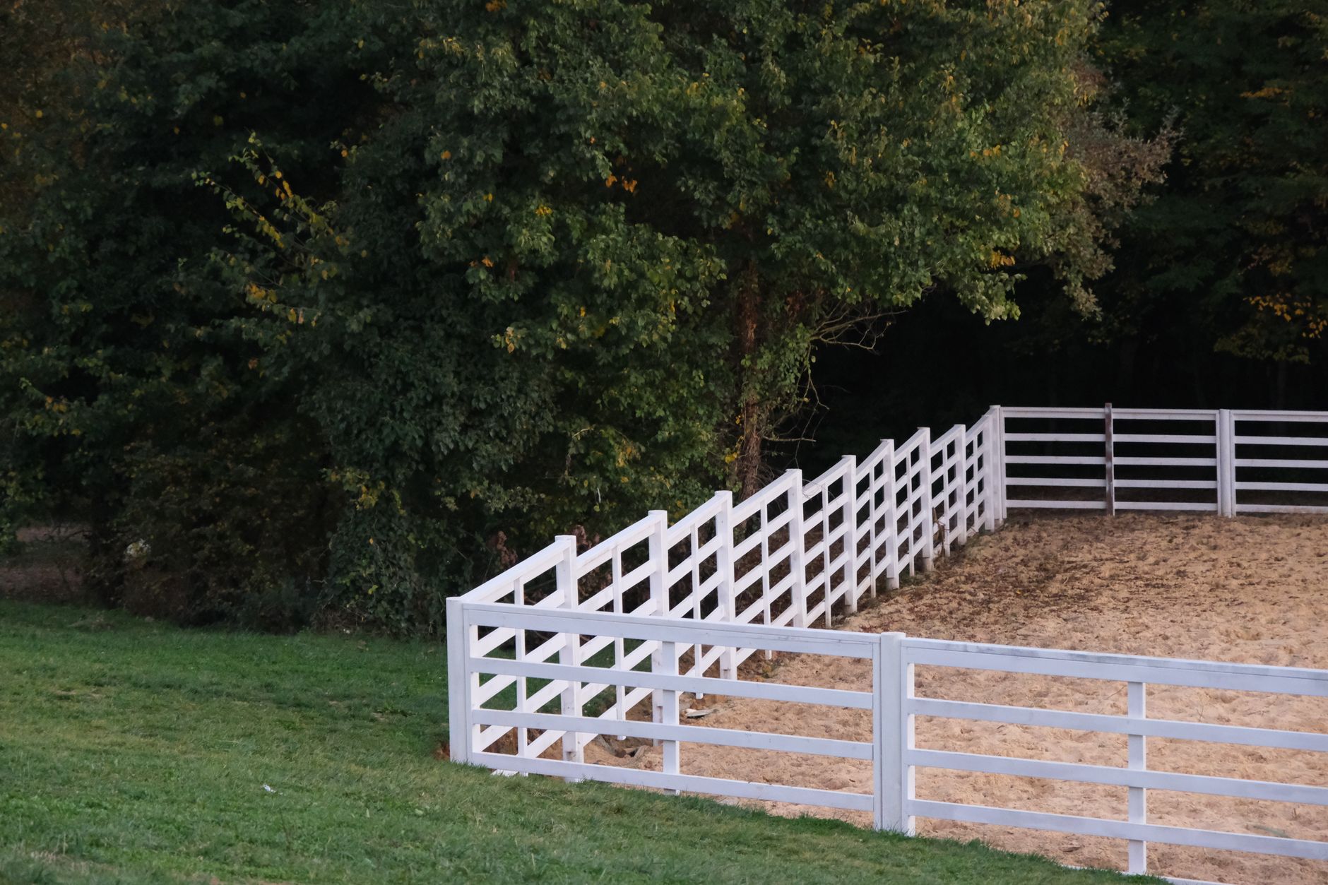 A serene outdoor paddock with white fences and lush green trees in Edmond, OK